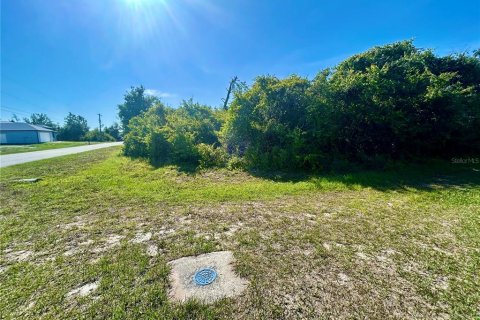 Land in Port Charlotte, Florida № 2162639