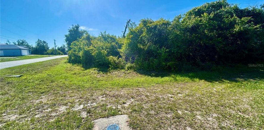 Land in Port Charlotte, Florida № 2162639