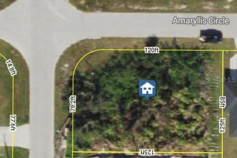 Land in Port Charlotte, Florida № 2162639 - photo 2
