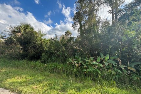 Land in Naples, Florida № 2107352 - photo 13