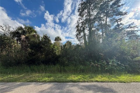 Land in Naples, Florida № 2107352 - photo 9