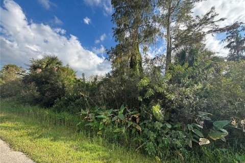 Land in Naples, Florida № 2107352 - photo 11