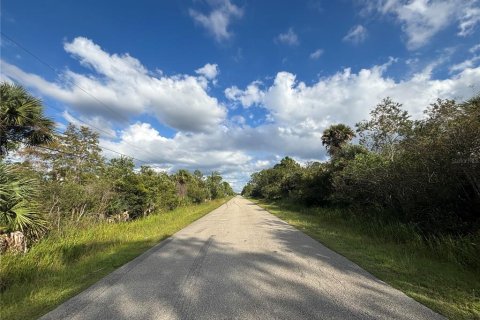Land in Naples, Florida № 2107352 - photo 6