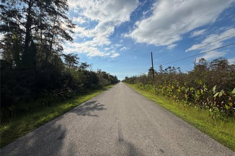 Land in Naples, Florida № 2107352 - photo 5