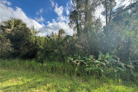 Land in Naples, Florida № 2107352 - photo 14