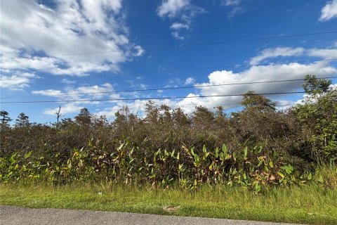 Land in Naples, Florida № 2107352 - photo 16