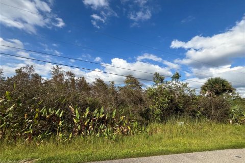 Land in Naples, Florida № 2107352 - photo 17