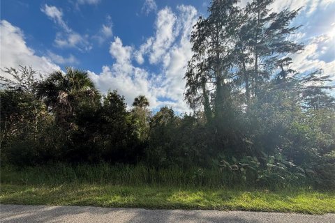 Land in Naples, Florida № 2107352 - photo 8
