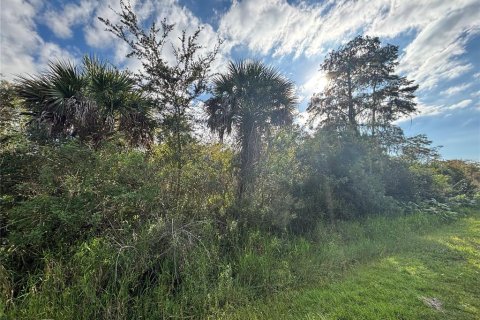 Land in Naples, Florida № 2107352 - photo 7