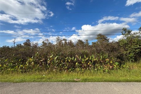 Land in Naples, Florida № 2107352 - photo 15