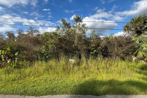 Land in Naples, Florida № 2107352 - photo 4