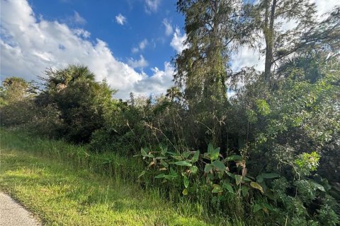 Land in Naples, Florida № 2107352 - photo 12