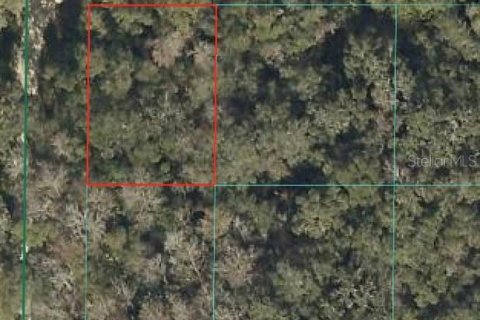 Land in Ocala, Florida № 2159090