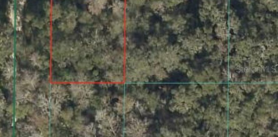 Land in Ocala, Florida № 2159090