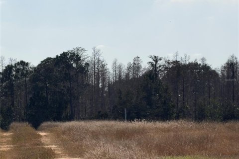 Terreno en venta en Clermont, Florida № 2118388 - foto 11