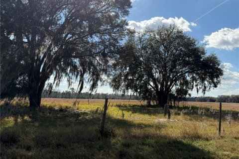 Terreno en venta en Clermont, Florida № 2118388 - foto 8