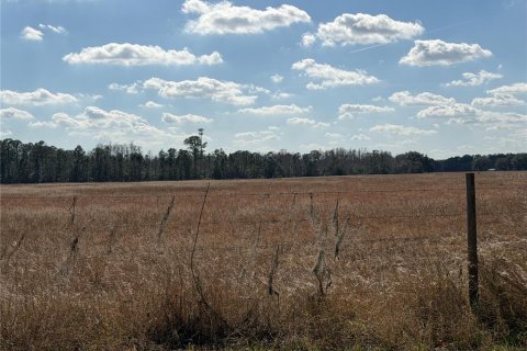Terreno en venta en Clermont, Florida № 2118388 - foto 9