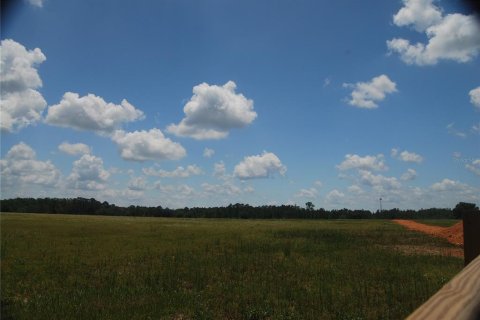 Terreno en venta en Clermont, Florida № 2118388 - foto 3