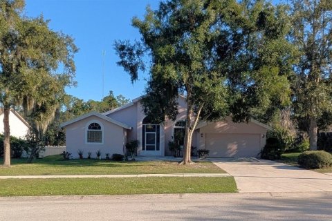 Villa ou maison à Riverview, Floride 3 chambres, 180.69 m2 № 2432660