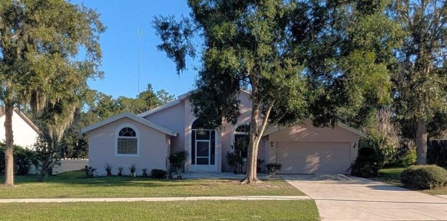 Villa ou maison à Riverview, Floride 3 chambres, 180.69 m2 № 2432660