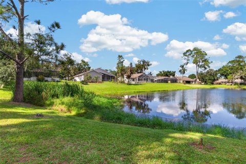 Villa ou maison à vendre à Riverview, Floride: 3 chambres, 180.69 m2 № 2432660 - photo 11