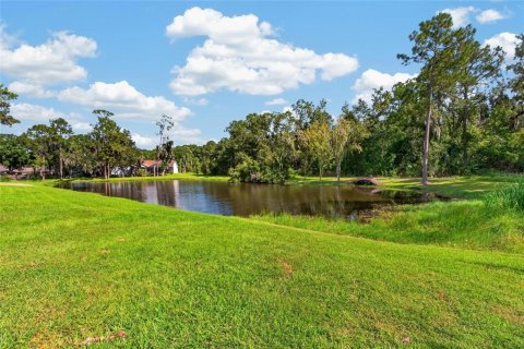 Villa ou maison à vendre à Riverview, Floride: 3 chambres, 180.69 m2 № 2432660 - photo 10