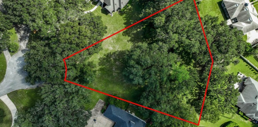 Land in Orange Park, Florida № 802188
