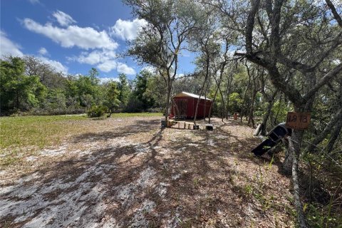 Land in Avon Park, Florida № 2161524 - photo 4