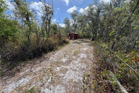 Land in Avon Park, Florida № 2161524 - photo 3