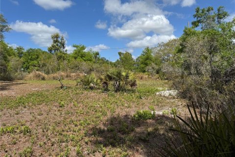 Land in Avon Park, Florida № 2161524 - photo 13