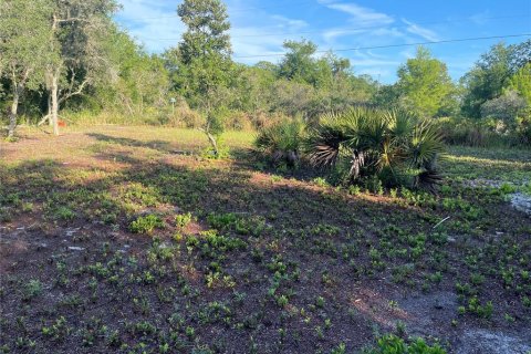 Land in Avon Park, Florida № 2161524 - photo 18