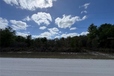 Land in Avon Park, Florida № 2161524