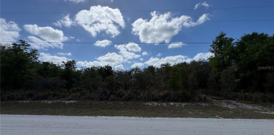 Land in Avon Park, Florida № 2161524