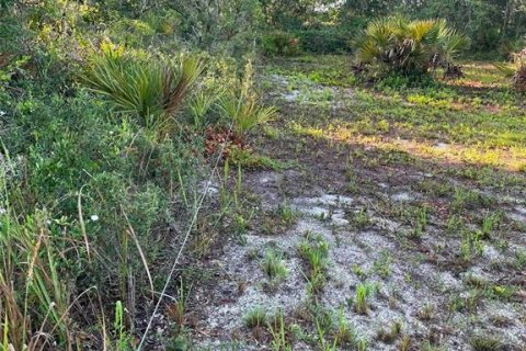 Land in Avon Park, Florida № 2161524 - photo 15