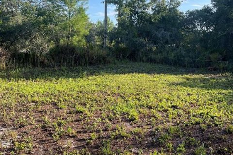 Land in Avon Park, Florida № 2161524 - photo 17