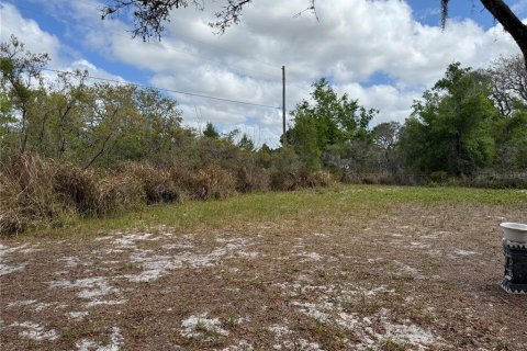 Land in Avon Park, Florida № 2161524 - photo 12