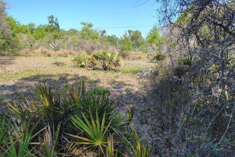 Land in Avon Park, Florida № 2161524 - photo 14