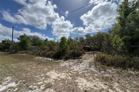 Land in Avon Park, Florida № 2161524 - photo 2