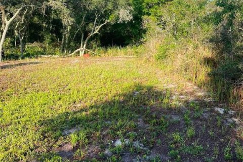 Land in Avon Park, Florida № 2161524 - photo 16