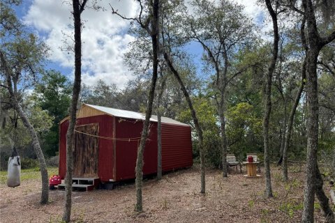 Land in Avon Park, Florida № 2161524 - photo 8