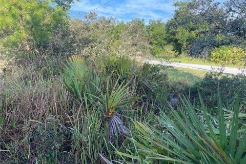 Land in Avon Park, Florida № 2161524 - photo 19