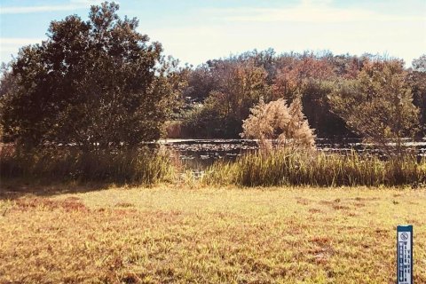 Land in Avon Park, Florida № 2161524 - photo 20