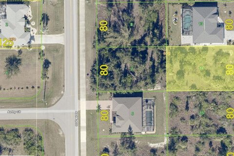 Land in Port Charlotte, Florida № 2163244 - photo 2