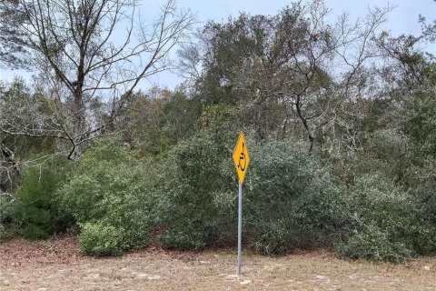 Land in Ocala, Florida № 2162182