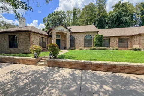 Villa ou maison à vendre à Tampa, Floride: 5 chambres, 445.75 m2 № 2304769 - photo 4