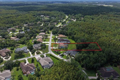 Villa ou maison à vendre à New Port Richey, Floride: 4 chambres, 234.95 m2 № 2430493 - photo 4