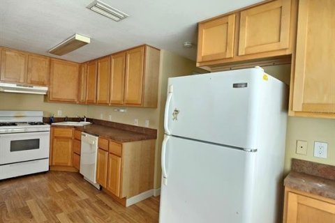 Apartment in Clearwater, Florida 1 bedroom, 74.32 sq.m. № 2229987 - photo 7