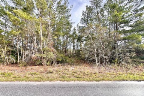 Terreno en venta en Paisley, Florida № 1723539 - foto 1