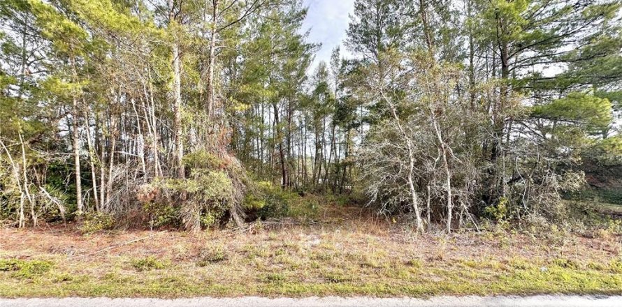 Terreno en Paisley, Florida № 1723539