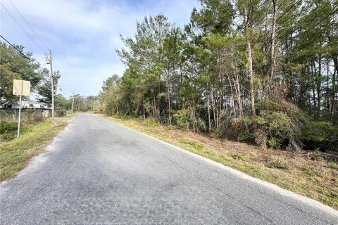 Terreno en venta en Paisley, Florida № 1723539 - foto 3